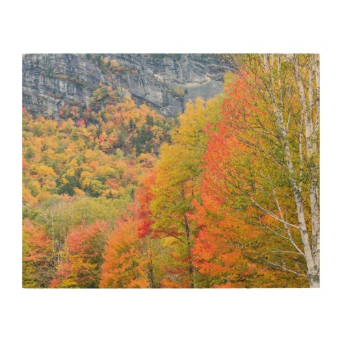 Fall in Grafton Notch State Park Maine Wood Wall Art