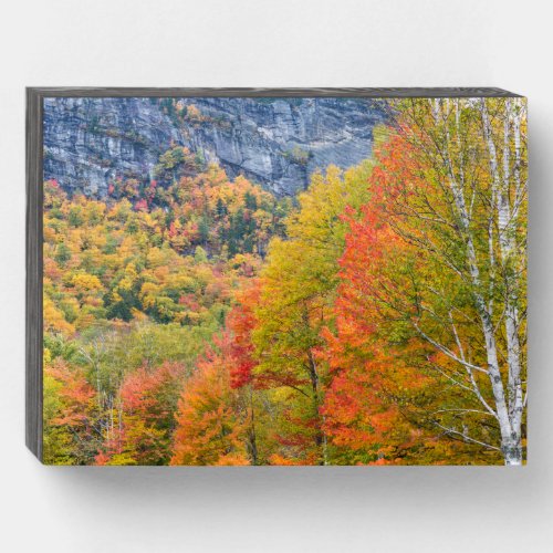 Fall in Grafton Notch State Park Maine Wooden Box Sign