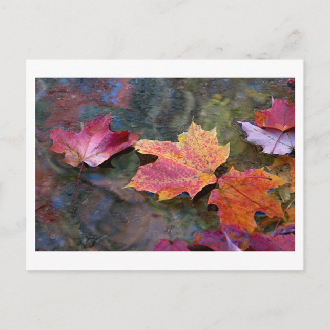 fall in line postcard (Front)