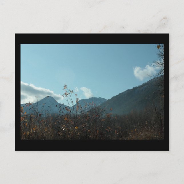 Fall in Lions Park, Leavenworth WA Mini Print Postcard (Front)