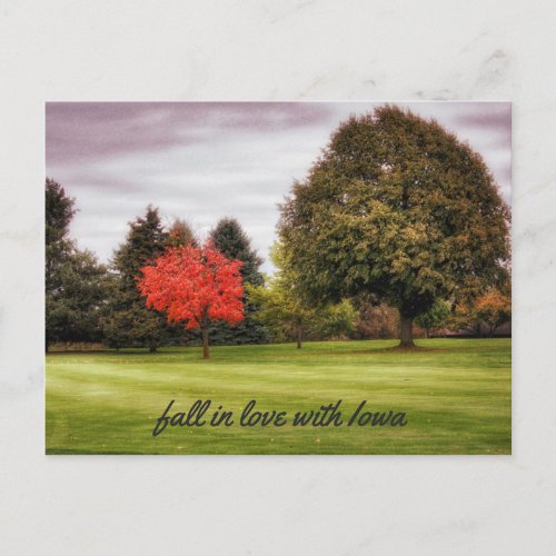 Fall in Love with Iowa Postcard