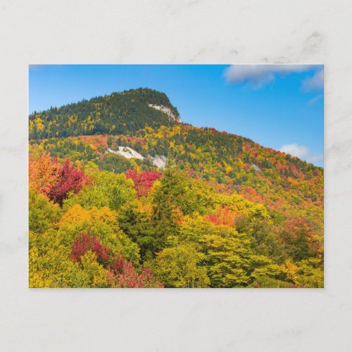 Fall In New England Postcard