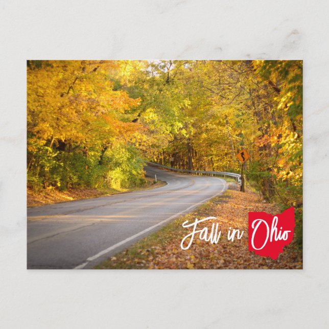 Fall in Ohio Curvy Road Autumn Foliage Postcard (Front)