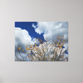 Fall in Paradise Canvas Print