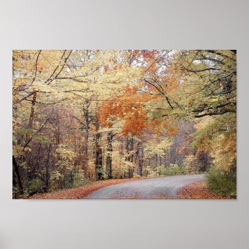 Fall In Pure Michigan Road With Trees Poster