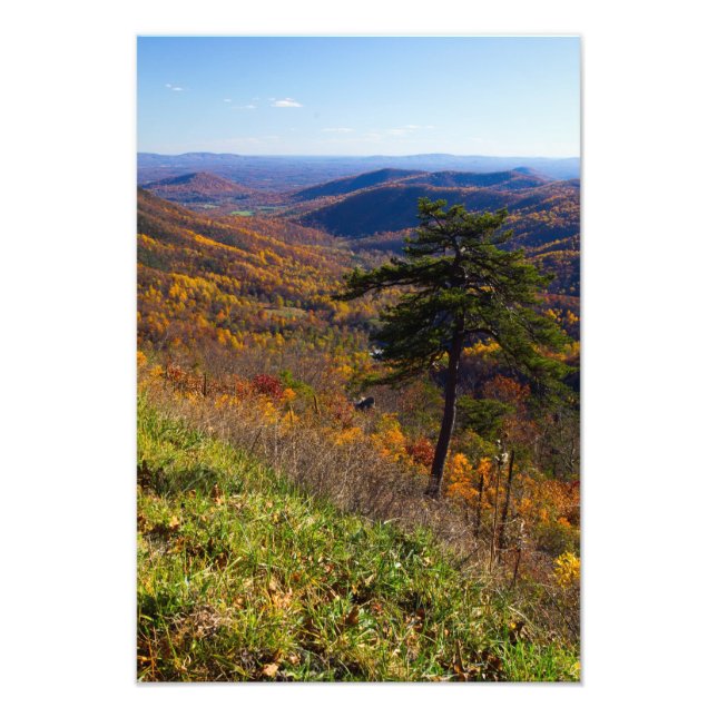 Fall in Shenandoah National Park, Virginia Photo Print (Front)