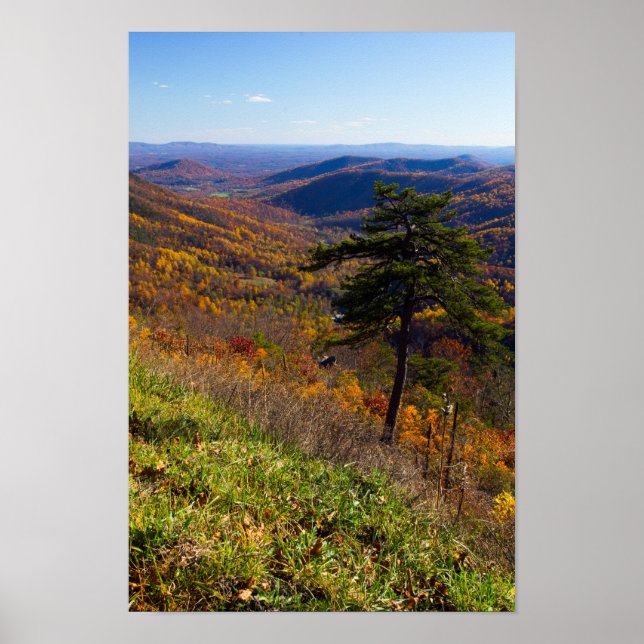 Fall in Shenandoah National Park, Virginia Poster (Front)