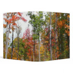 Fall in the Forest 3 Ring Binder