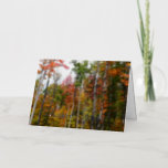 Fall in the Forest Colorful Autumn Photo Thank You Foil Greeting Card