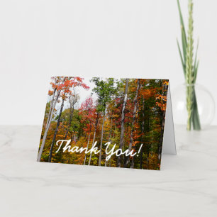 Fall in the Forest Colorful Autumn Photo Thank You Foil Greeting Card