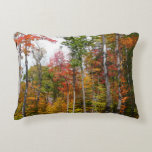 Fall in the Forest Colorful Autumn Photography Accent Pillow