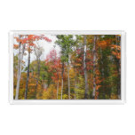 Fall in the Forest Colorful Autumn Photography Acrylic Tray