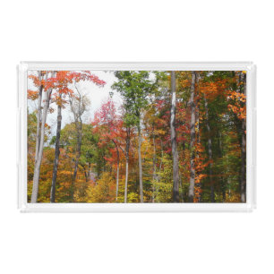Fall in the Forest Colorful Autumn Photography Acrylic Tray