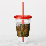 Fall in the Forest Colorful Autumn Photography Acrylic Tumbler