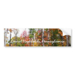 Fall in the Forest Colorful Autumn Photography Bumper Sticker