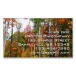Fall in the Forest Colorful Autumn Photography Business Card Magnet