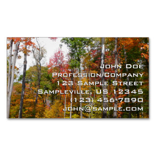 Fall in the Forest Colorful Autumn Photography Business Card Magnet