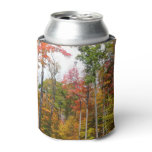 Fall in the Forest Colorful Autumn Photography Can Cooler