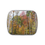 Fall in the Forest Colorful Autumn Photography Candy Tin
