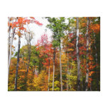 Fall in the Forest Colorful Autumn Photography Canvas Print