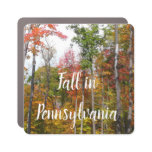 Fall in the Forest Colorful Autumn Photography Car Magnet
