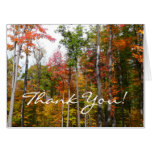 Fall in the Forest Colorful Autumn Photography Card