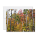 Fall in the Forest Colorful Autumn Photography Card