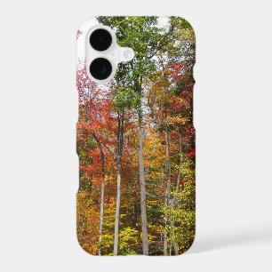 Fall in the Forest Colorful Autumn Photography iPhone 17 Case