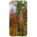 Fall in the Forest Colorful Autumn Photography Barely There iPhone 6 Plus Case