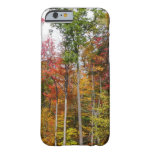 Fall in the Forest Colorful Autumn Photography Barely There iPhone 6 Case