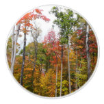 Fall in the Forest Colorful Autumn Photography Ceramic Knob