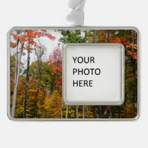 Fall in the Forest Colorful Autumn Photography Christmas Ornament