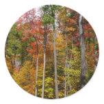 Fall in the Forest Colorful Autumn Photography Classic Round Sticker