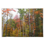 Fall in the Forest Colorful Autumn Photography Cloth Placemat