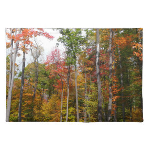 Fall in the Forest Colorful Autumn Photography Cloth Placemat