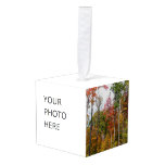Fall in the Forest Colorful Autumn Photography Cube Ornament