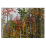 Fall in the Forest Colorful Autumn Photography Cutting Board