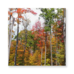 Fall in the Forest Colorful Autumn Photography Favor Tags