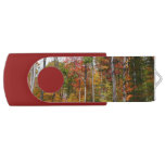 Fall in the Forest Colorful Autumn Photography Flash Drive