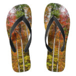 Fall in the Forest Colorful Autumn Photography Flip Flops