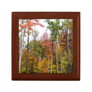 Fall in the Forest Colorful Autumn Photography Gift Box