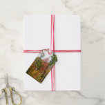 Fall in the Forest Colorful Autumn Photography Gift Tags