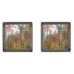 Fall in the Forest Colorful Autumn Photography Gunmetal Finish Cufflinks