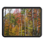 Fall in the Forest Colorful Autumn Photography Hitch Cover
