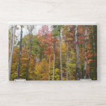 Fall in the Forest Colorful Autumn Photography HP Laptop Skin