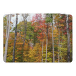 Fall in the Forest Colorful Autumn Photography iPad Pro Cover