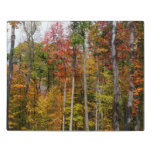 Fall in the Forest Colorful Autumn Photography Jigsaw Puzzle