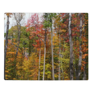 Fall in the Forest Colorful Autumn Photography Jigsaw Puzzle