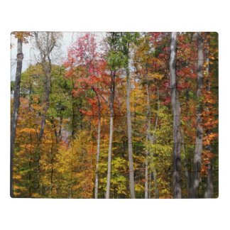 Fall in the Forest Colorful Autumn Photography Jigsaw Puzzle