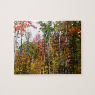 Fall in the Forest Colorful Autumn Photography Jigsaw Puzzle